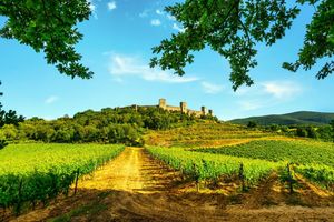 Via Francigena